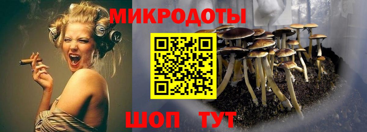 Галлюциногенные грибы Psilocybine cubensis  Вход с VPN  Галлюциногенные грибы Psilocybe  где купить наркоту  Реутов 
