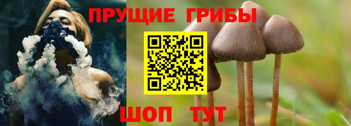 Галлюциногенные грибы Psilocybine cubensis Реутов